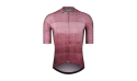 MAILLOT ETXEONDO ALAI BERENJENA de Quino Bike